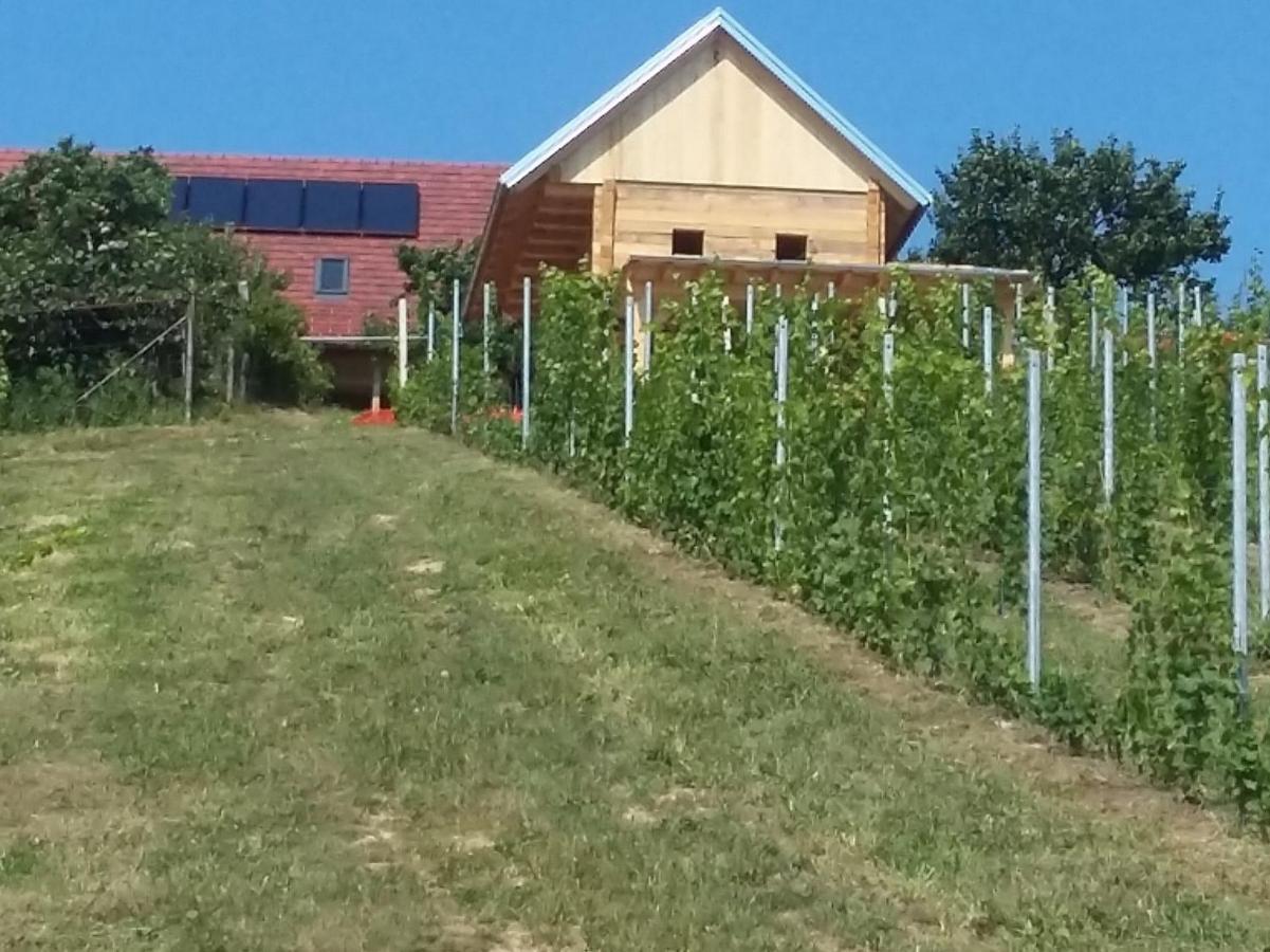 Rooms & Wine Lilek Sentilj Zewnętrze zdjęcie