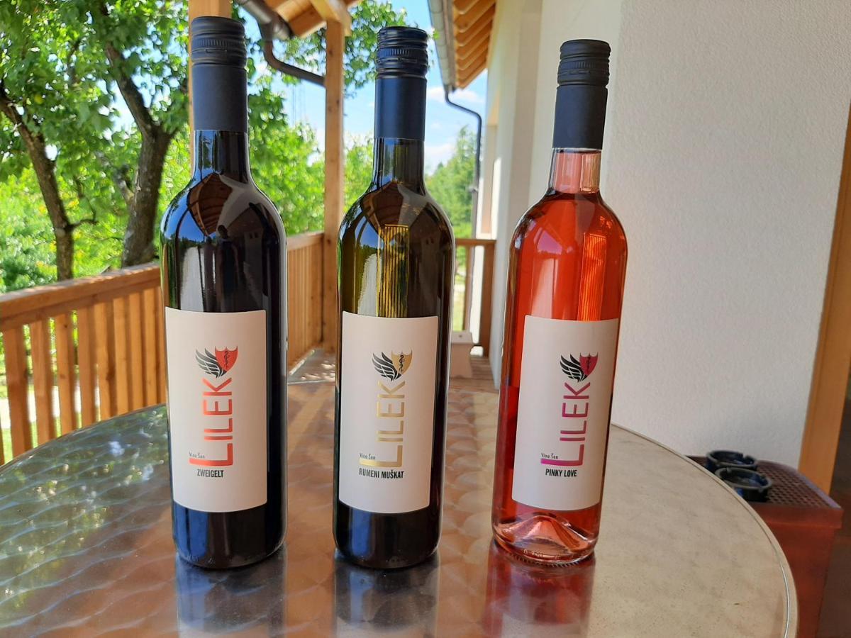 Rooms & Wine Lilek Sentilj Zewnętrze zdjęcie