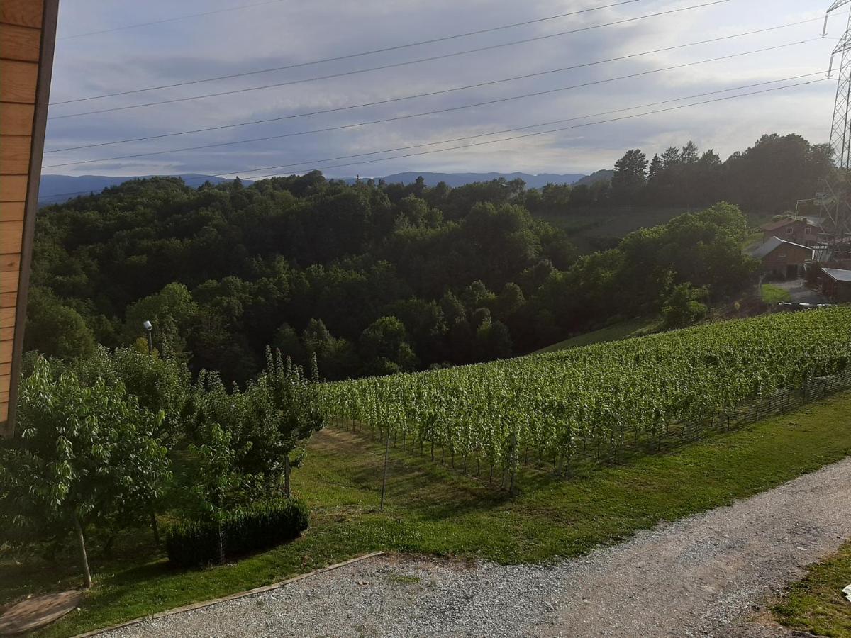 Rooms & Wine Lilek Sentilj Zewnętrze zdjęcie