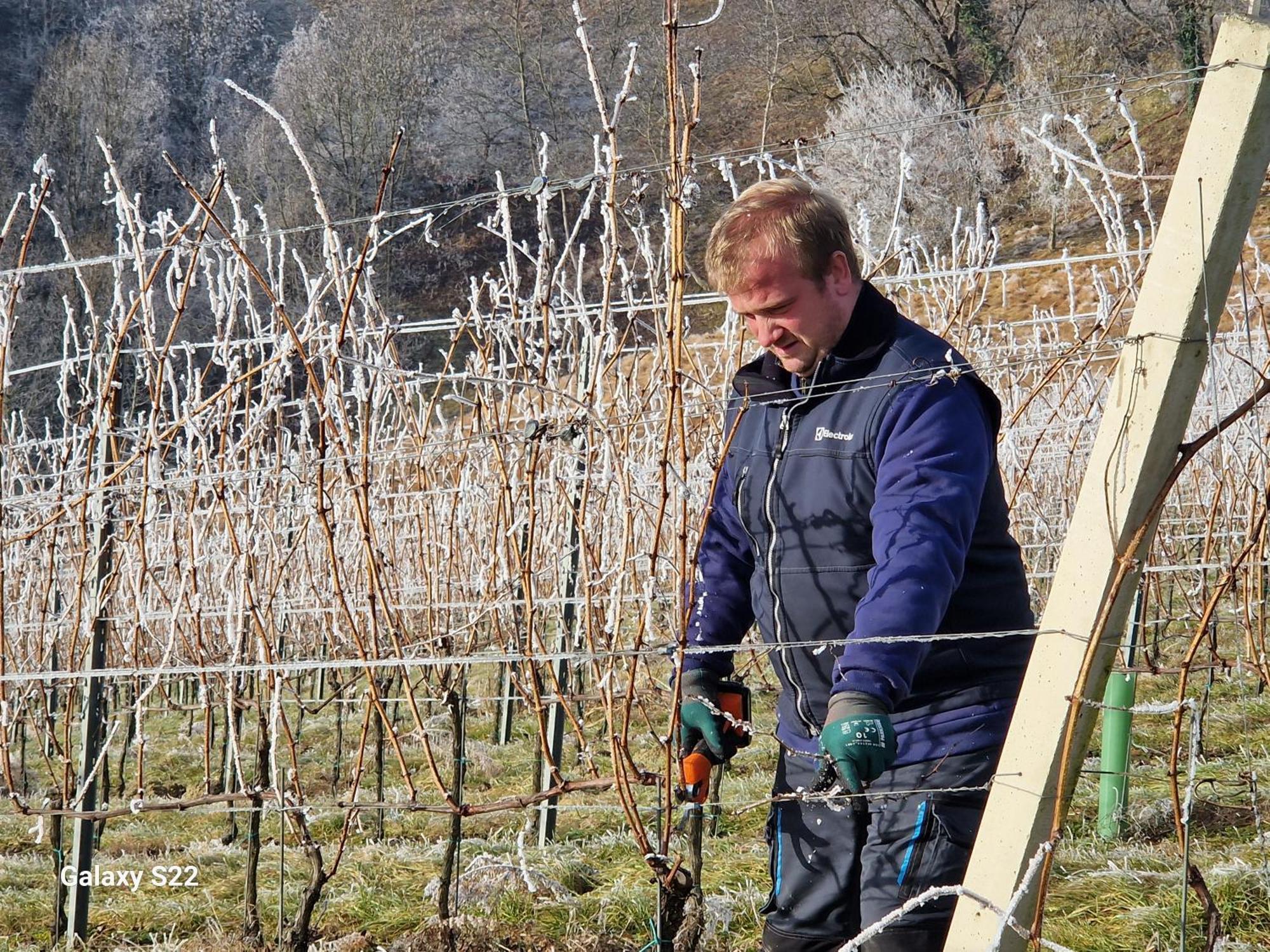 Rooms & Wine Lilek Sentilj Zewnętrze zdjęcie