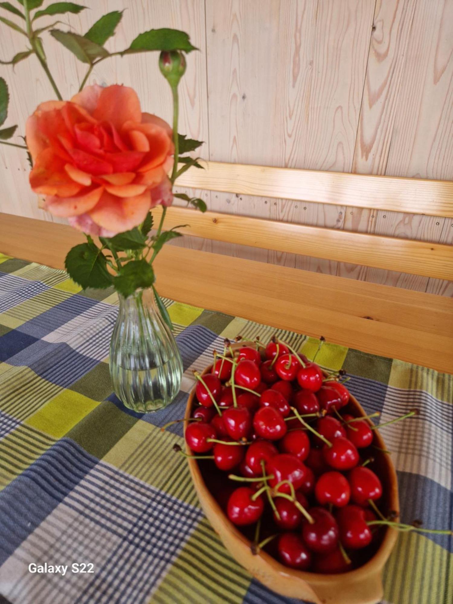 Rooms & Wine Lilek Sentilj Zewnętrze zdjęcie